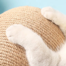Carica l'immagine nel visualizzatore di Gallery, Graffi&Felicità - Il tuo gatto merita solo il meglio!