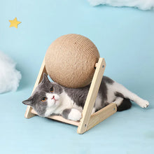 Carica l'immagine nel visualizzatore di Gallery, Graffi&Felicità - Il tuo gatto merita solo il meglio!