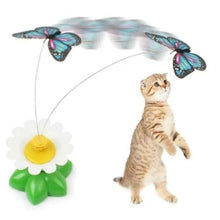 Carica l'immagine nel visualizzatore di Gallery, Butterfly | Gioco Interattivo per Gatti | Stravagatti