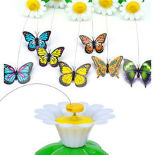 Carica l'immagine nel visualizzatore di Gallery, Butterfly | Gioco Interattivo per Gatti | Stravagatti