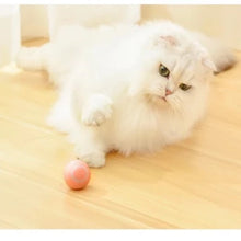 Carica l'immagine nel visualizzatore di Gallery, MaddyBall™ | Palla Magica | Gioco per Gatti