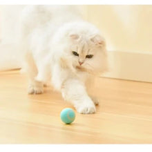 Carica l'immagine nel visualizzatore di Gallery, MaddyBall™ | Palla Magica | Gioco per Gatti