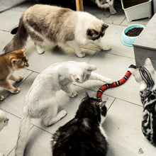 Carica l'immagine nel visualizzatore di Gallery, Bellissimo Gioco per Gatti | Serpy™ | Stravagatti